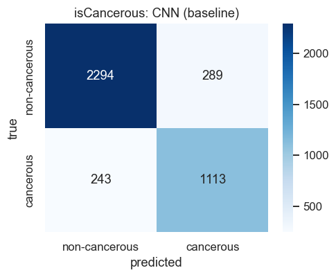 Where it is wrong — The final binary model over 3,939 test patches: 289 non-cancerous cells called cancerous, and 243 cancerous cells called non-cancerous. The second number is the one that matters clinically, and it is the reason the report argues an honest 0.852 is worth more than an inflated 0.90.