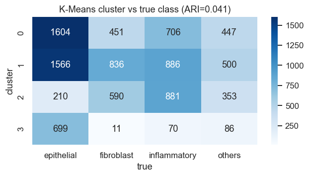 Raw pixels do not know the classes — K-Means at k=4 on the PCA features, cross-tabulated against the true cell types. Adjusted Rand Index 0.041 — the clusters are essentially unrelated to the labels. This is the evidence that the biology is not the dominant axis of pixel variation, and that a representation has to be learned rather than assumed.