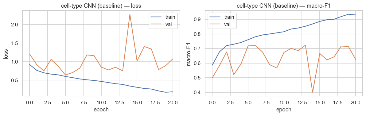 Textbook overfitting, left to be visible — Baseline CNN on the four-class task. Training macro-F1 climbs past 0.93 while validation stalls around 0.72, and the validation loss spikes hard at epoch 14. The spikiness is what motivated the learning-rate sweep; the widening gap is what motivated augmentation.