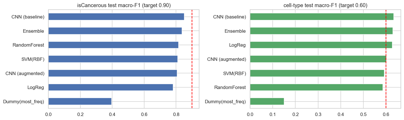 Test macro-F1 against the targets — Every model scored once on held-out patients, with the 0.90 and 0.60 target lines drawn in. Cell-type clears its bar; isCancerous misses. The Dummy classifier is on the chart deliberately — it takes 0.656 accuracy on the binary task and 0.396 macro-F1, which is the whole argument for not reporting accuracy under imbalance.